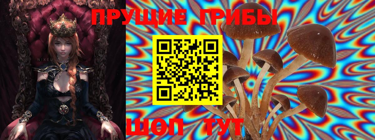 Галлюциногенные грибы мухоморы Долгопрудный