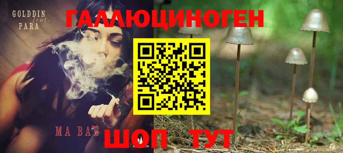 Долгопрудный  сколько стоит  Вход с VPN  Псилоцибиновые грибы MAGIC MUSHROOMS 