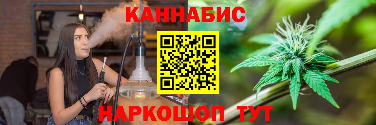 Бошки Шишки план Долгопрудный
